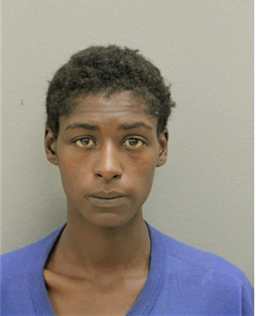 JESSICA C LOGWOOD, Cook County, Illinois