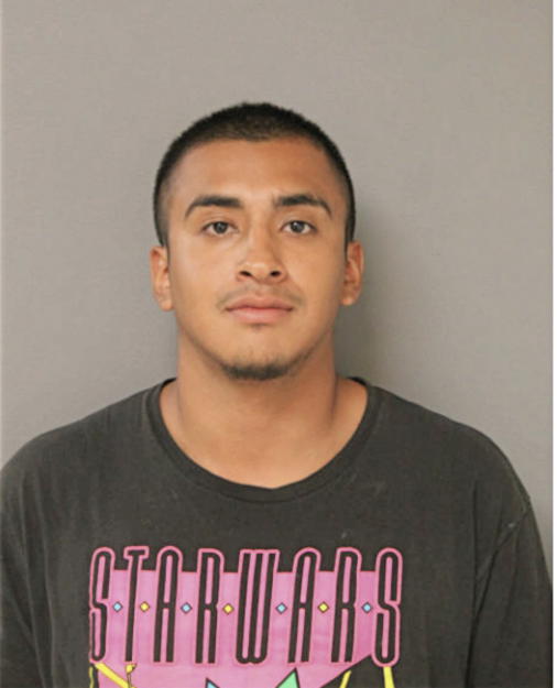 EMMANUEL MENDOZA, Cook County, Illinois