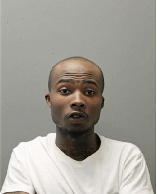 VONZELL D NEWSOM, Cook County, Illinois