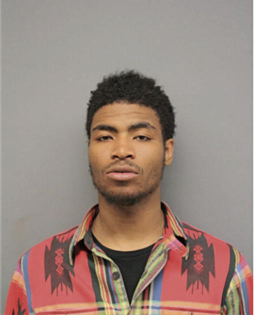 DEONTAY L PAGE, Cook County, Illinois