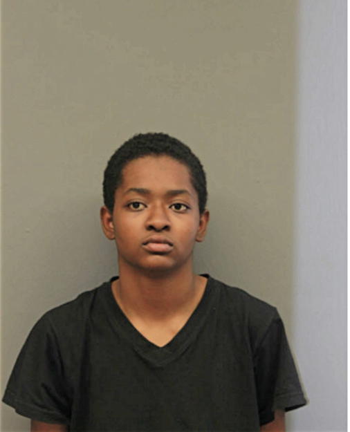 ANIA C RAMSEY, Cook County, Illinois