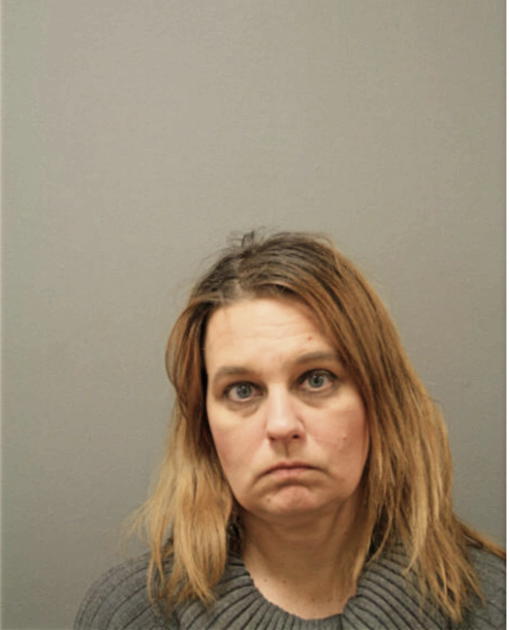 DENISE M REINSCHREIBER, Cook County, Illinois
