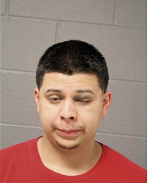 FREDDY M SANCHEZ, Cook County, Illinois