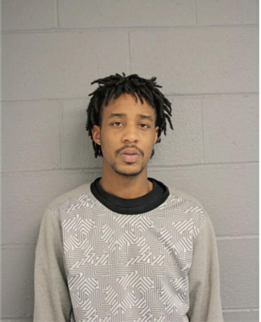 NIKKO L SUTTON, Cook County, Illinois