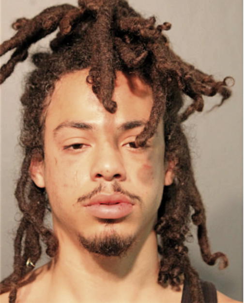 ETHAN E VIETS-VANLEAR, Cook County, Illinois
