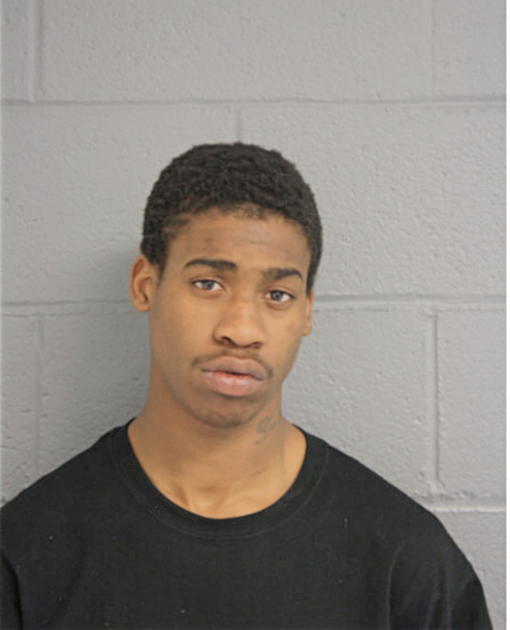 DARNELL D ANDERSON, Cook County, Illinois
