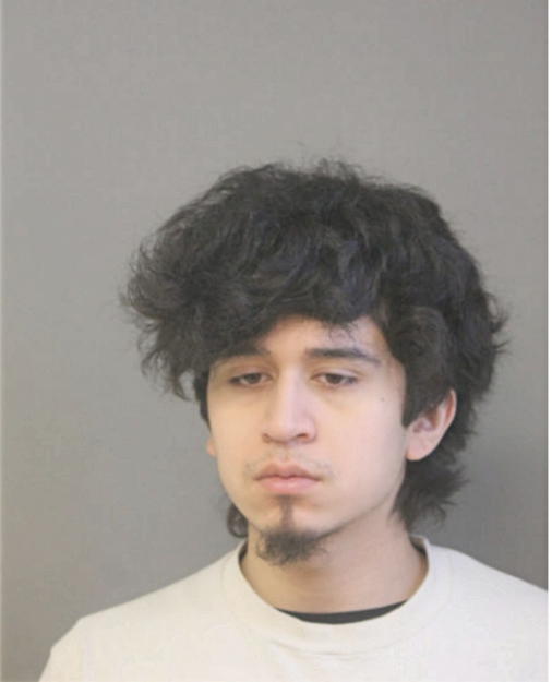 CARLOS A ARCE, Cook County, Illinois
