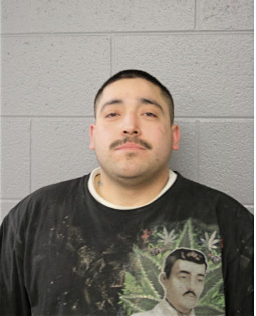 VICTOR H CASTILLO, Cook County, Illinois