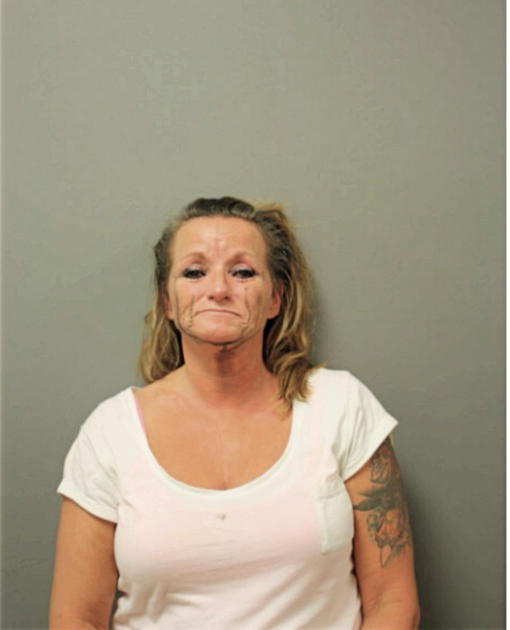 PAULA D DOMSCHKE, Cook County, Illinois