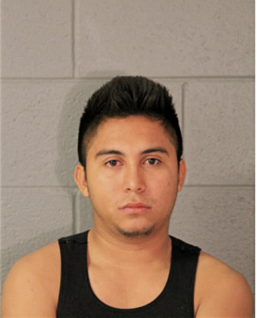 WALTER DUBON-LOPEZ, Cook County, Illinois