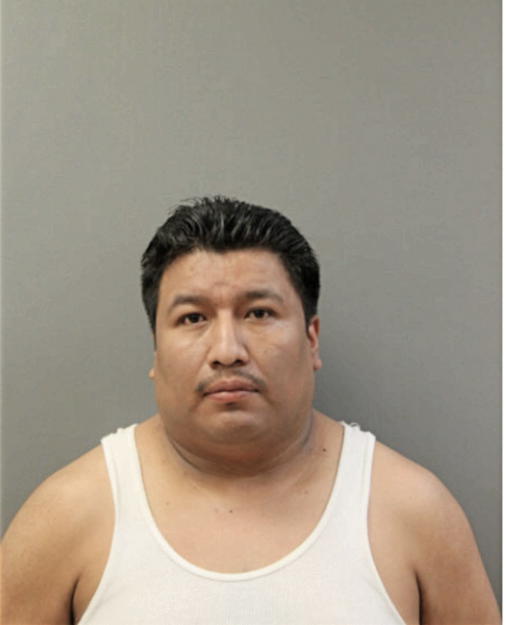 ISREAL FLORES, Cook County, Illinois