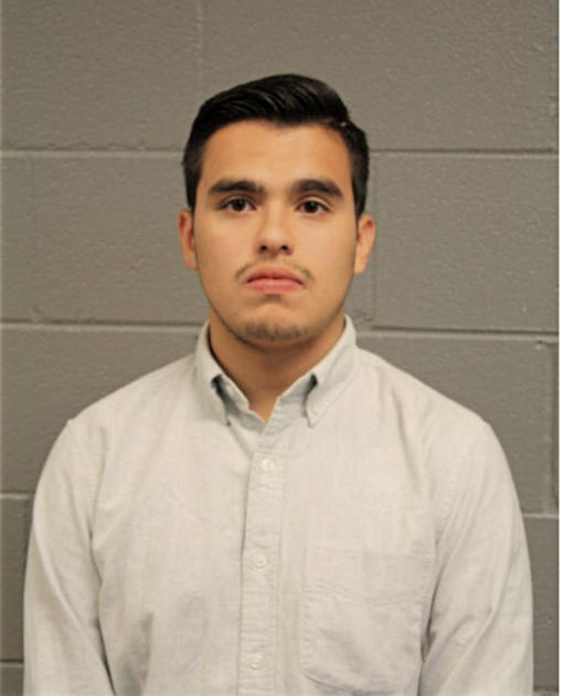 DAVID GONZALEZ, Cook County, Illinois