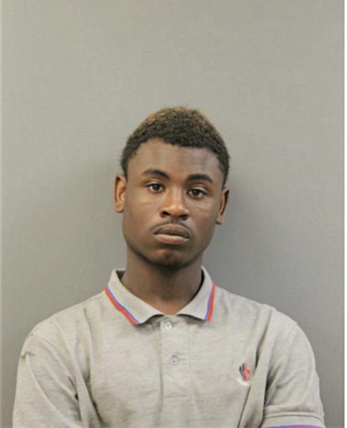 JOSEPH S HENDERSON, Cook County, Illinois