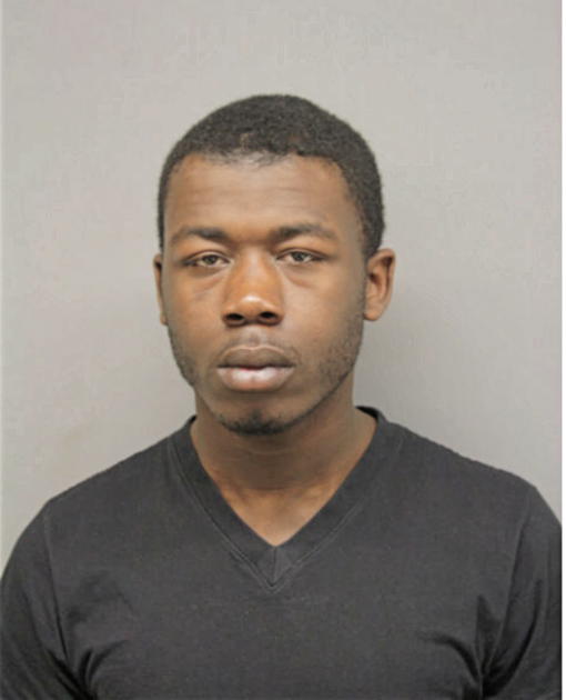 SAVION M JOHNSON, Cook County, Illinois