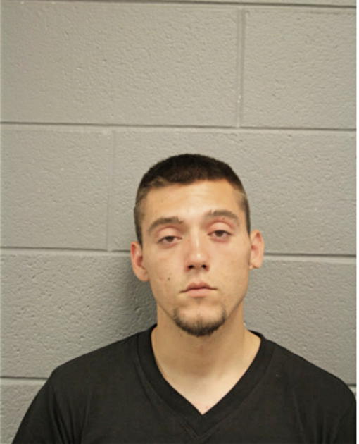 SILVAN KRZALIC, Cook County, Illinois
