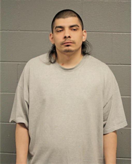 FERNANDO MARTINEZ, Cook County, Illinois