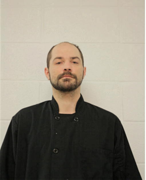 JOHN M MATTSSON, Cook County, Illinois