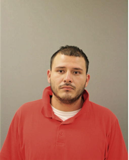 ALEXANDER MENDOZA, Cook County, Illinois