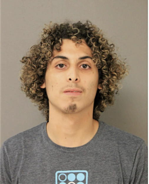 CAMILO MILLER, Cook County, Illinois