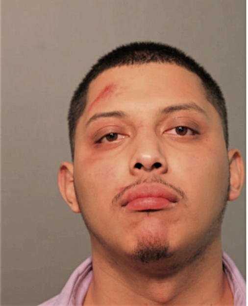 JESSE MOTA, Cook County, Illinois