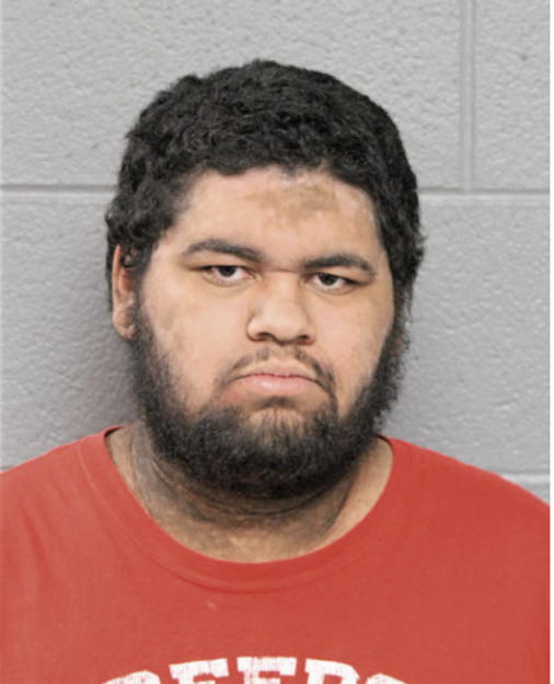 ALFONSO PALMA, Cook County, Illinois