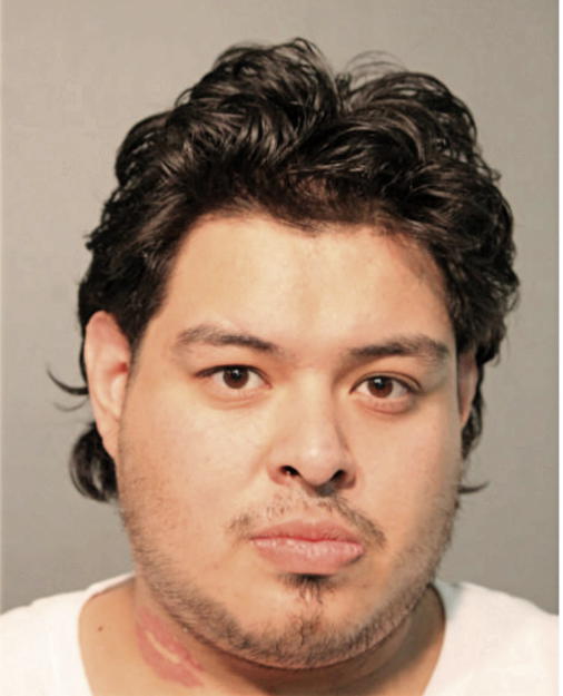 CESAR PINEDA, Cook County, Illinois