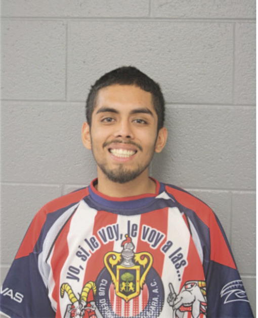 JULIO A PLASENCIA, Cook County, Illinois