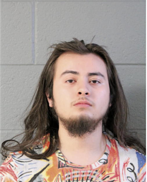 BRYANT R ROMAN, Cook County, Illinois