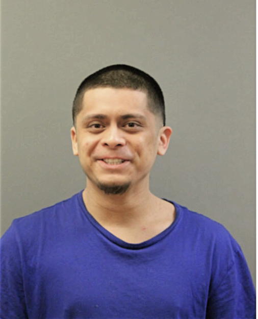 IVAN SOTO, Cook County, Illinois
