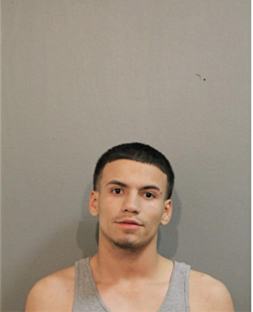 RENATO VEJACIC, Cook County, Illinois