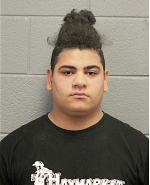 GAVIN D WARPNESS, Cook County, Illinois