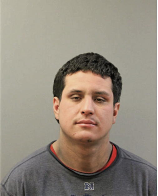 PORFIRIO ANAYA-SERRANO, Cook County, Illinois