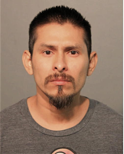 ERIK BAHENA, Cook County, Illinois