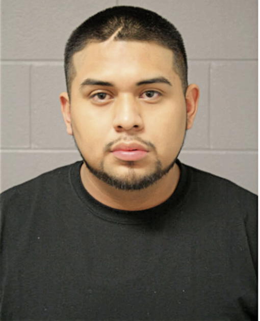 ADOLFO BELTRAN, Cook County, Illinois