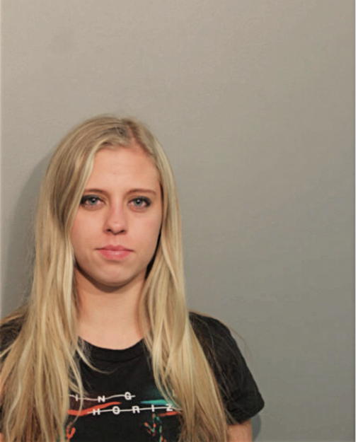 BRITTNEY E BUTLER, Cook County, Illinois