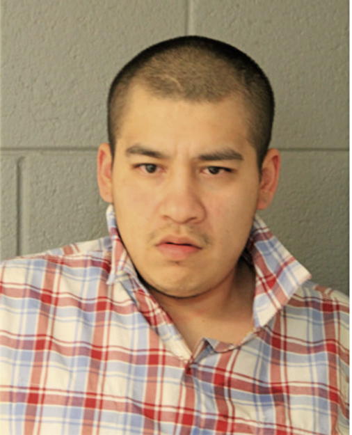 JESUS CAVADA, Cook County, Illinois