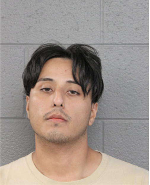 LUIS DEANDA, Cook County, Illinois