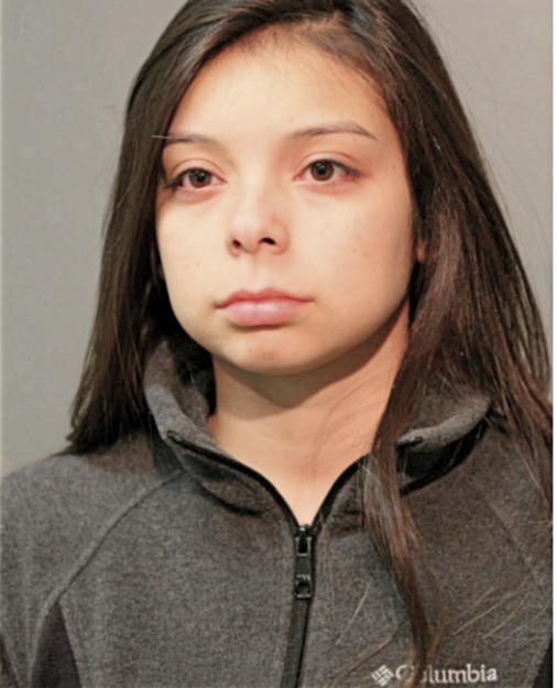 YOLISSA DEJESUS, Cook County, Illinois