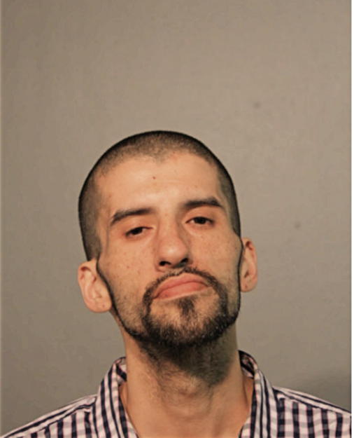 JOEL A GARCIA, Cook County, Illinois