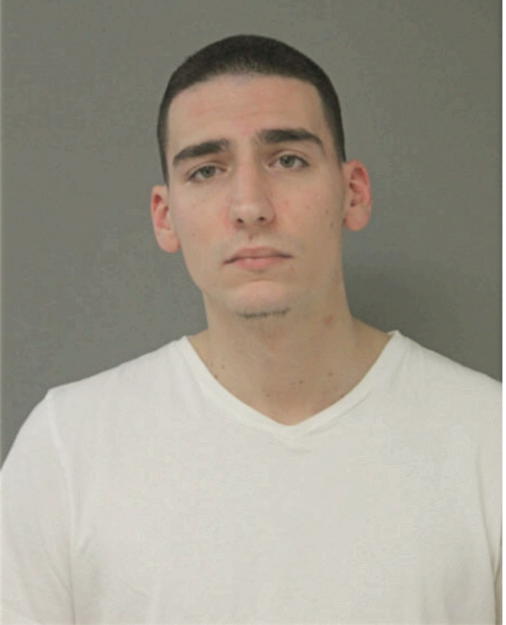 FRANCESCO C GIRARDI, Cook County, Illinois