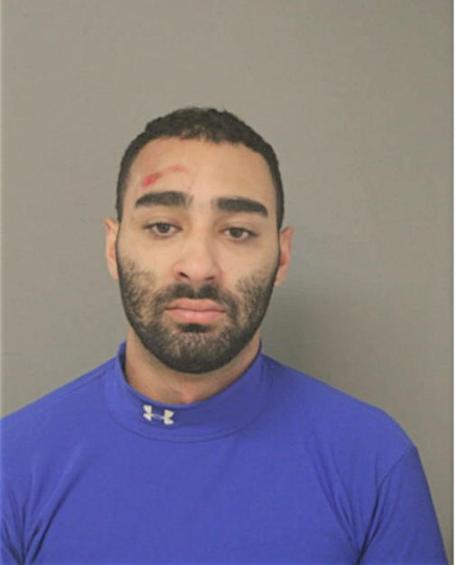 DANIEL C GONZALEZ, Cook County, Illinois