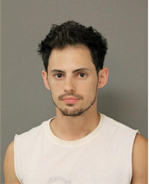 RONALD L HILL, Cook County, Illinois