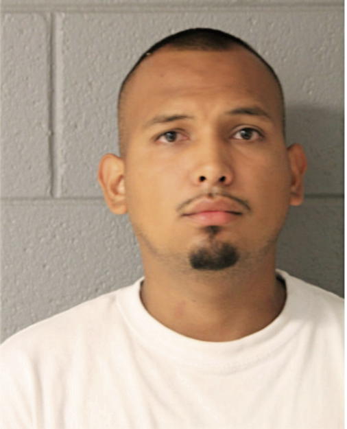 RICARDO INFANTE, Cook County, Illinois