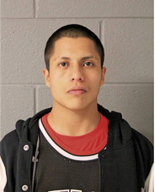 VICTOR A LARA, Cook County, Illinois
