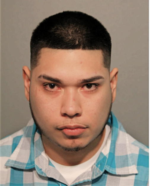 OSCAR P LIRA, Cook County, Illinois