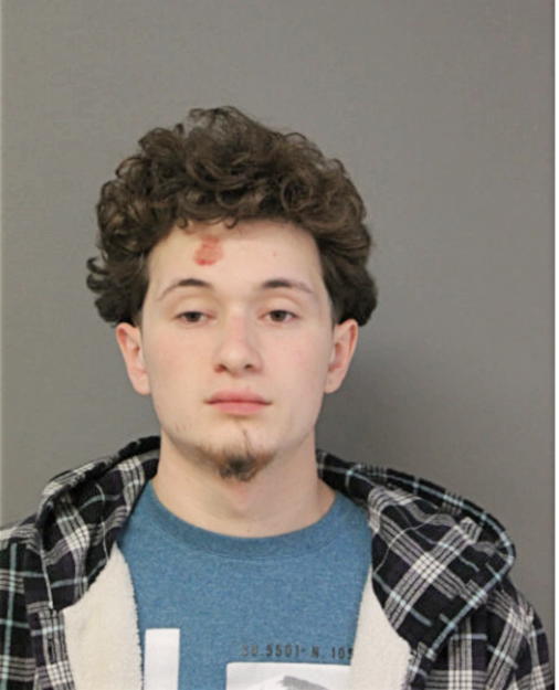 JOSHUA N LOZADA, Cook County, Illinois