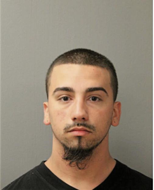 NICHOLAS MALDONADO, Cook County, Illinois