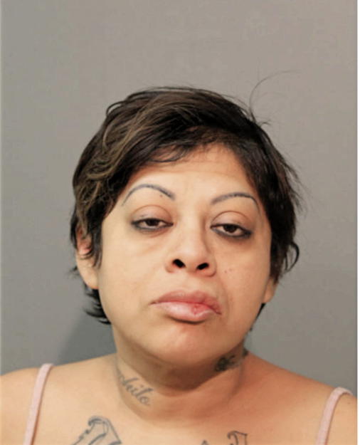 ROSA MANZANAREZ, Cook County, Illinois