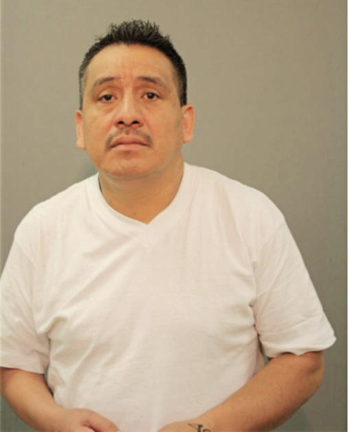 DOMINGO MARTINEZ, Cook County, Illinois
