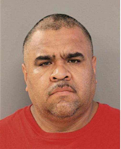 NICOLAS NAVA, Cook County, Illinois